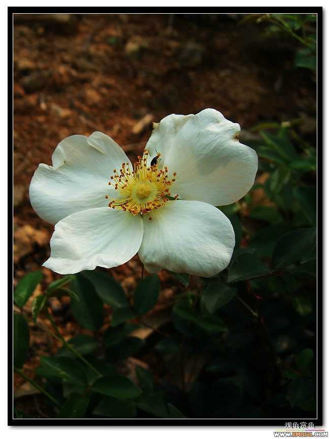 [����]���˽ڲ�����