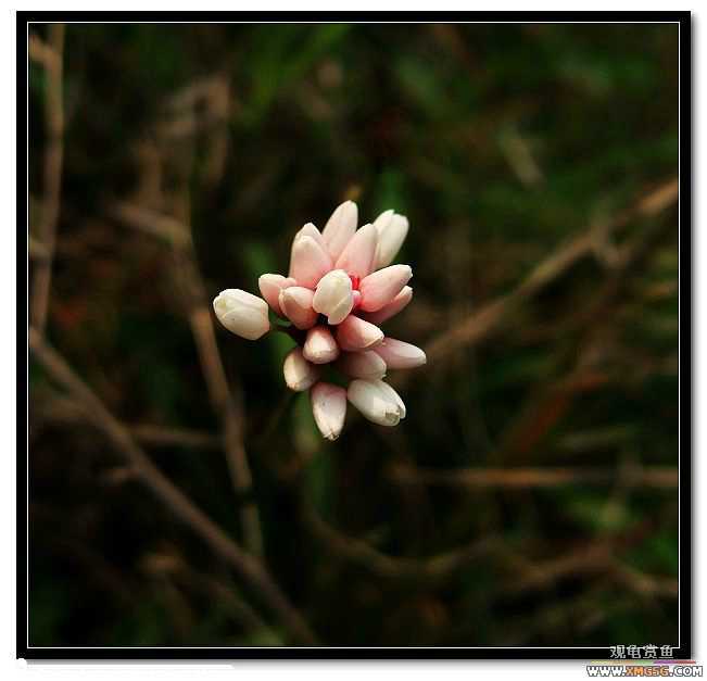 [����]���˽ڲ�����