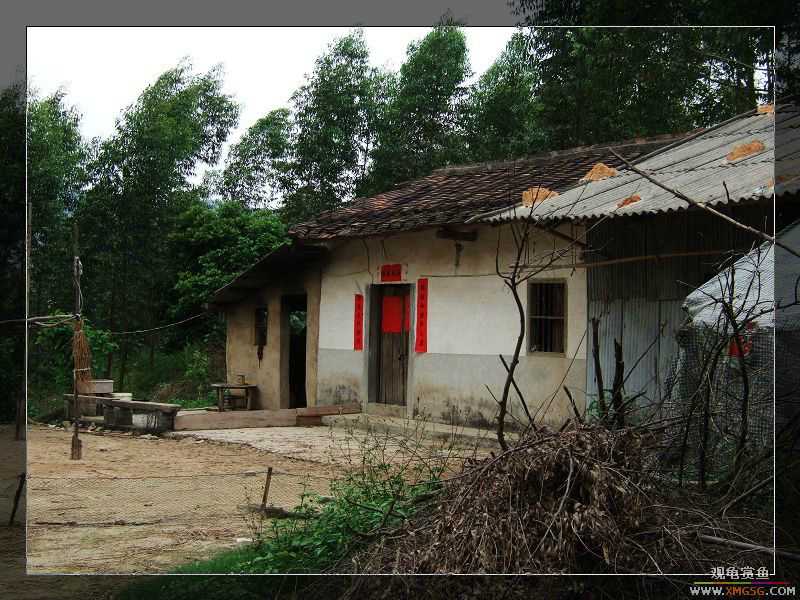 [����]���˽ڲ�����