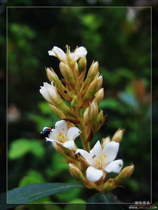 [����]���˽ڲ�����