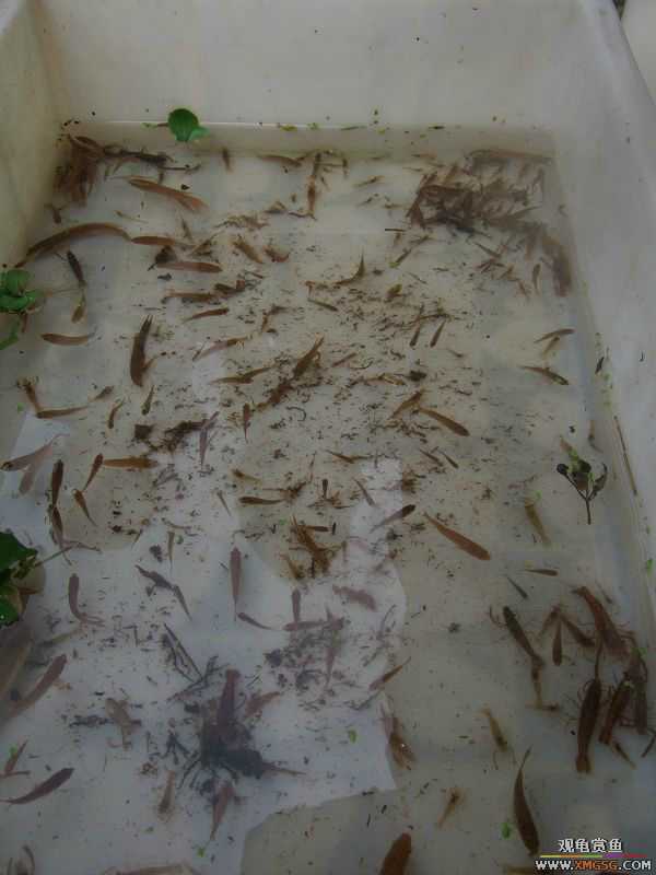 [����]���˽ڲ�����