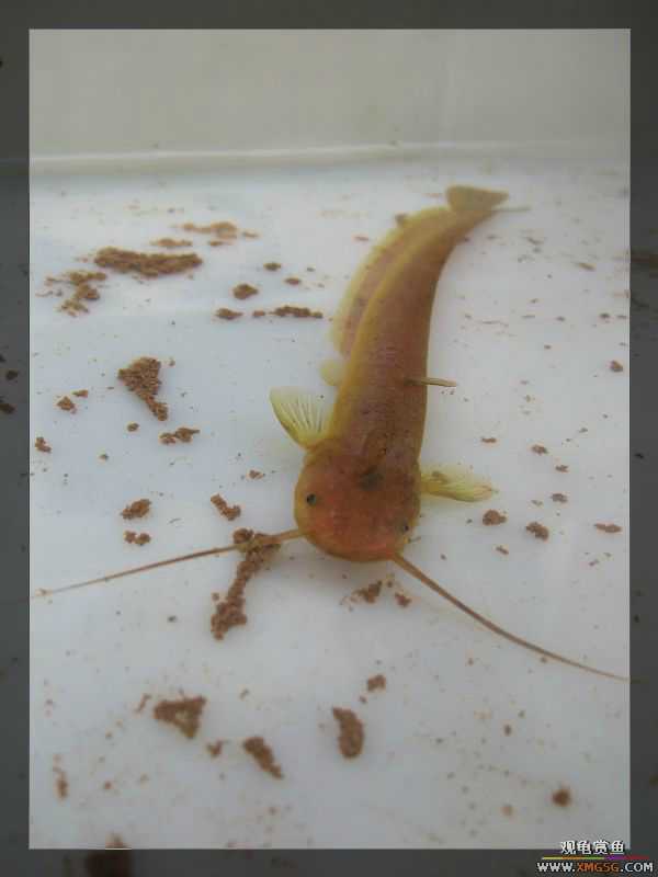 [����]���˽ڲ�����