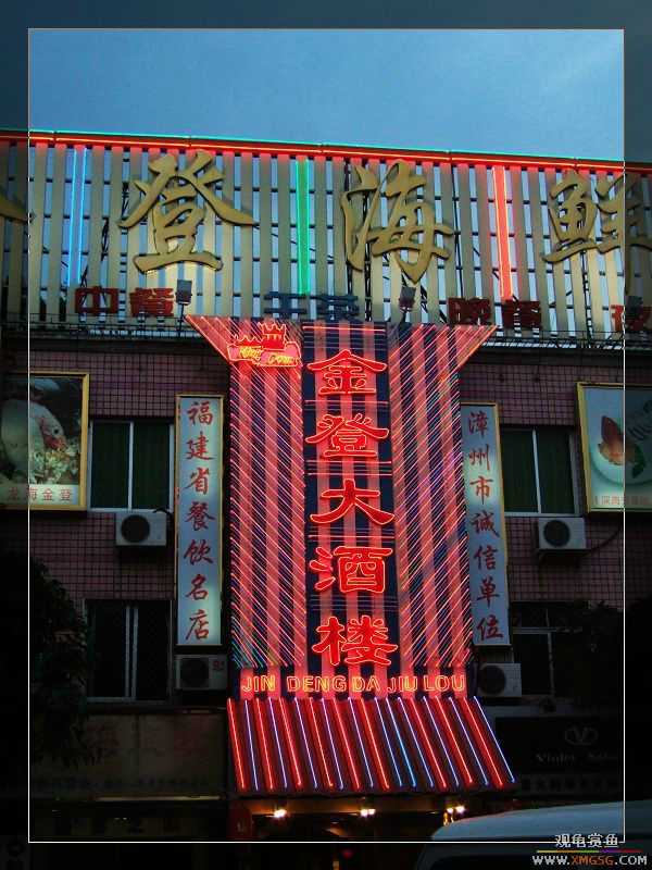 [����]���˽ڲ�����