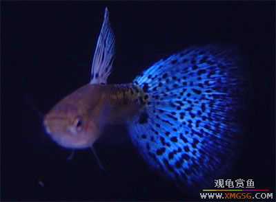 ��Щ��ȸ��~