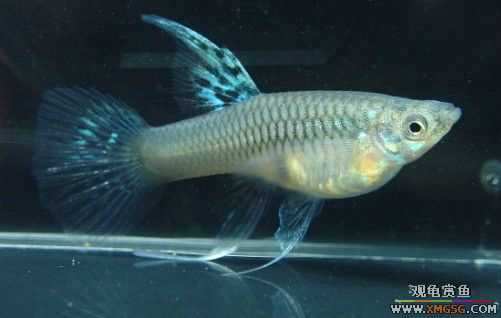 ��Щ��ȸ��~