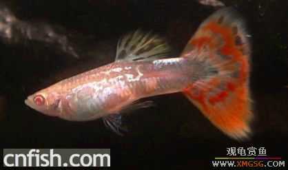 ��Щ��ȸ��~