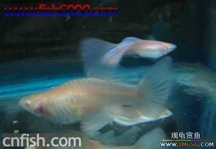 ��Щ��ȸ��~