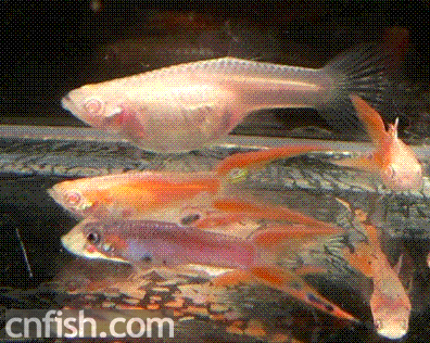 ��Щ��ȸ��~