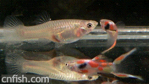 ��Щ��ȸ��~