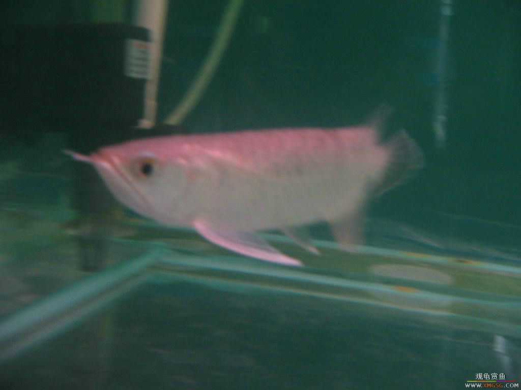 ������֮��,ˮ���.����·187�ŵ绰:13600976919С֣