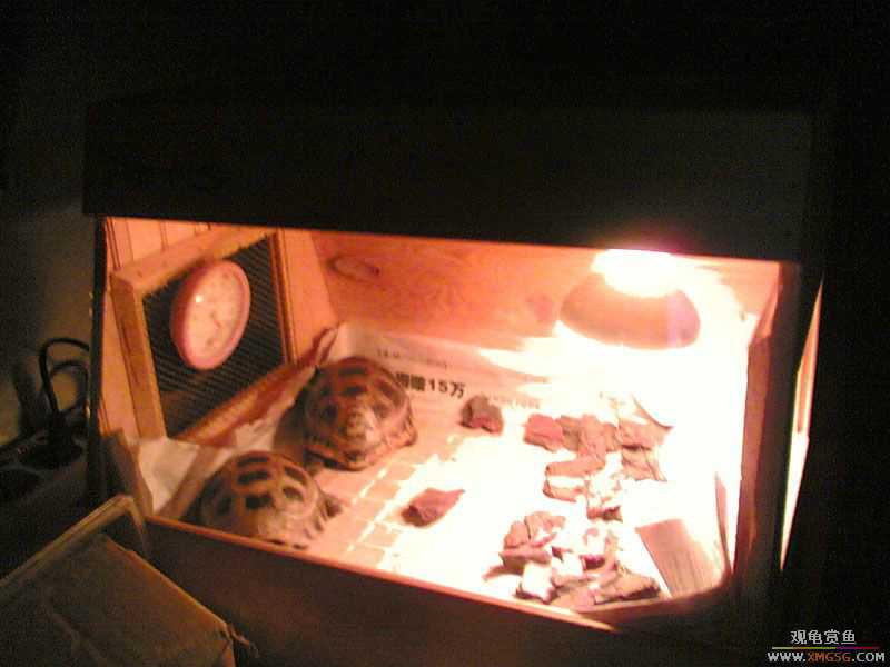 [ԭ��]���ű���תһС����