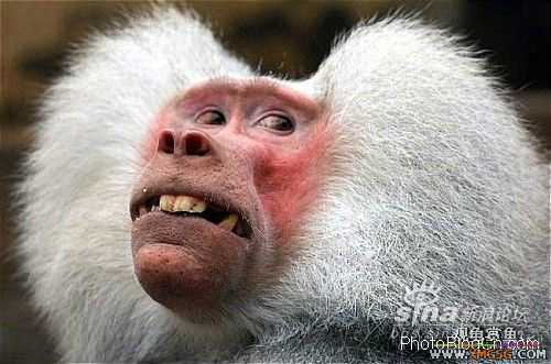 [ת��]��������(��ͼ����)