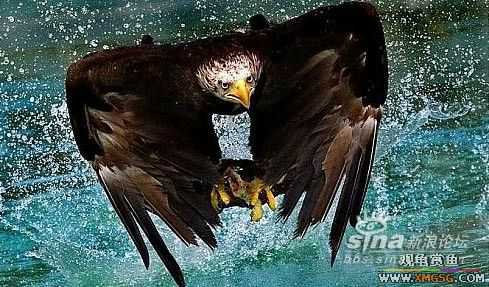 [ת��]��������(��ͼ����)