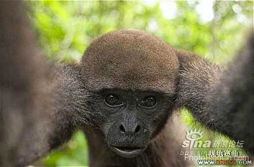 [ת��]��������(��ͼ����)