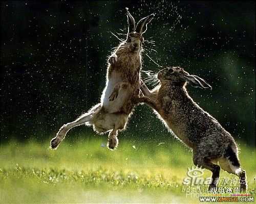 [ת��]��������(��ͼ����)