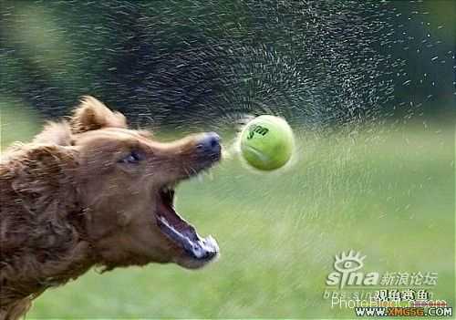 [ת��]��������(��ͼ����)