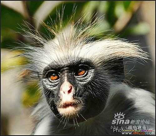 [ת��]��������(��ͼ����)