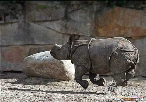 [ת��]��������(��ͼ����)