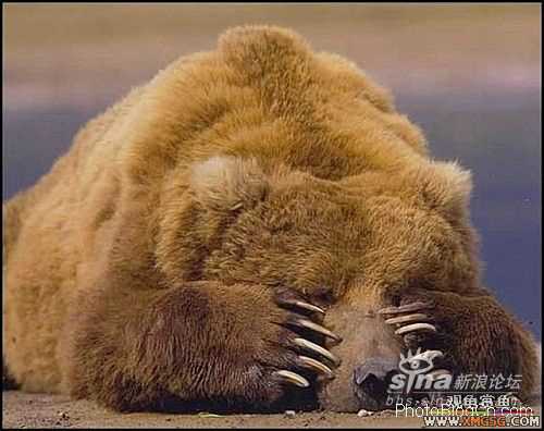 [ת��]��������(��ͼ����)