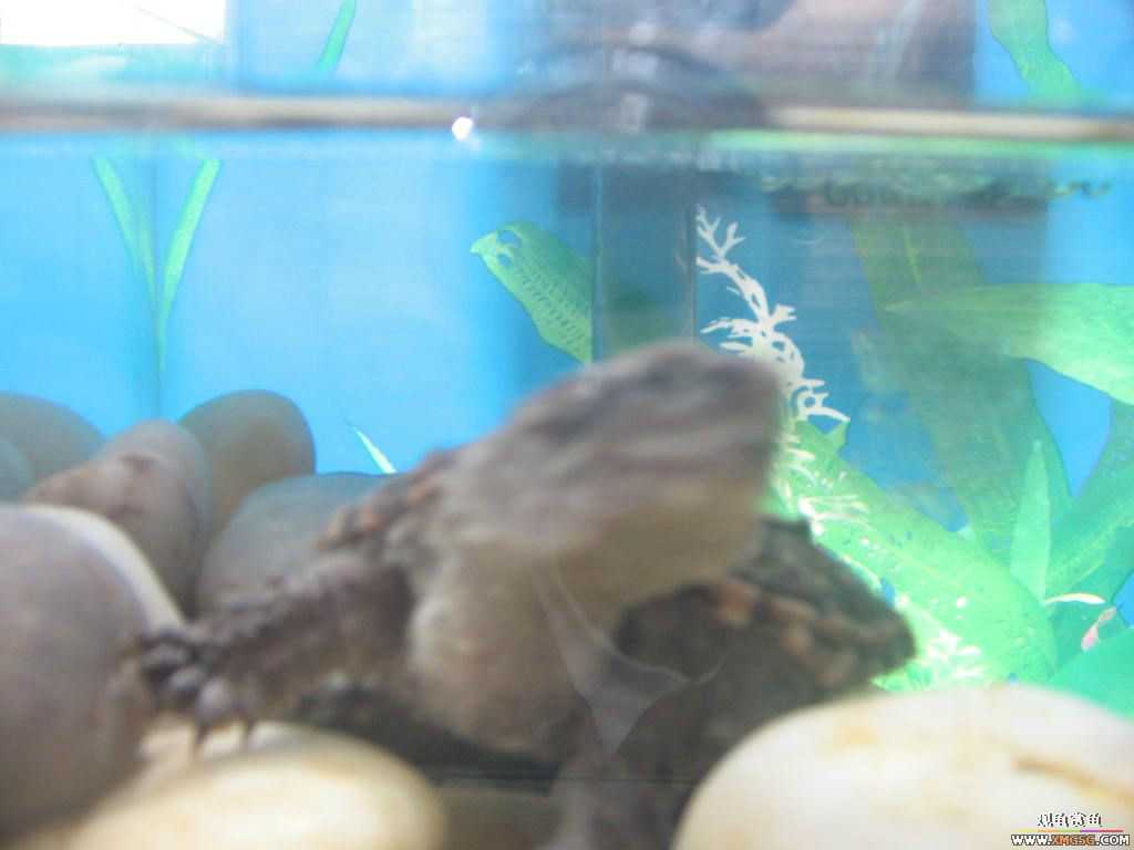 ������֮�� ����· �绰:13600976919С֣