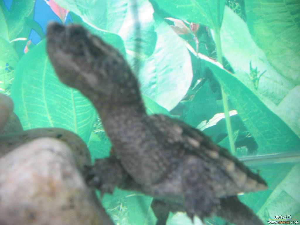 ������֮�� ����· �绰:13600976919С֣