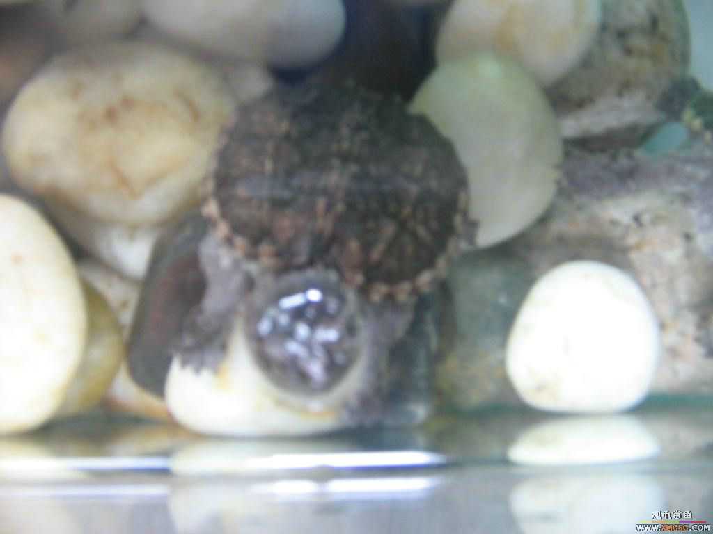 ������֮�� ����· �绰:13600976919С֣