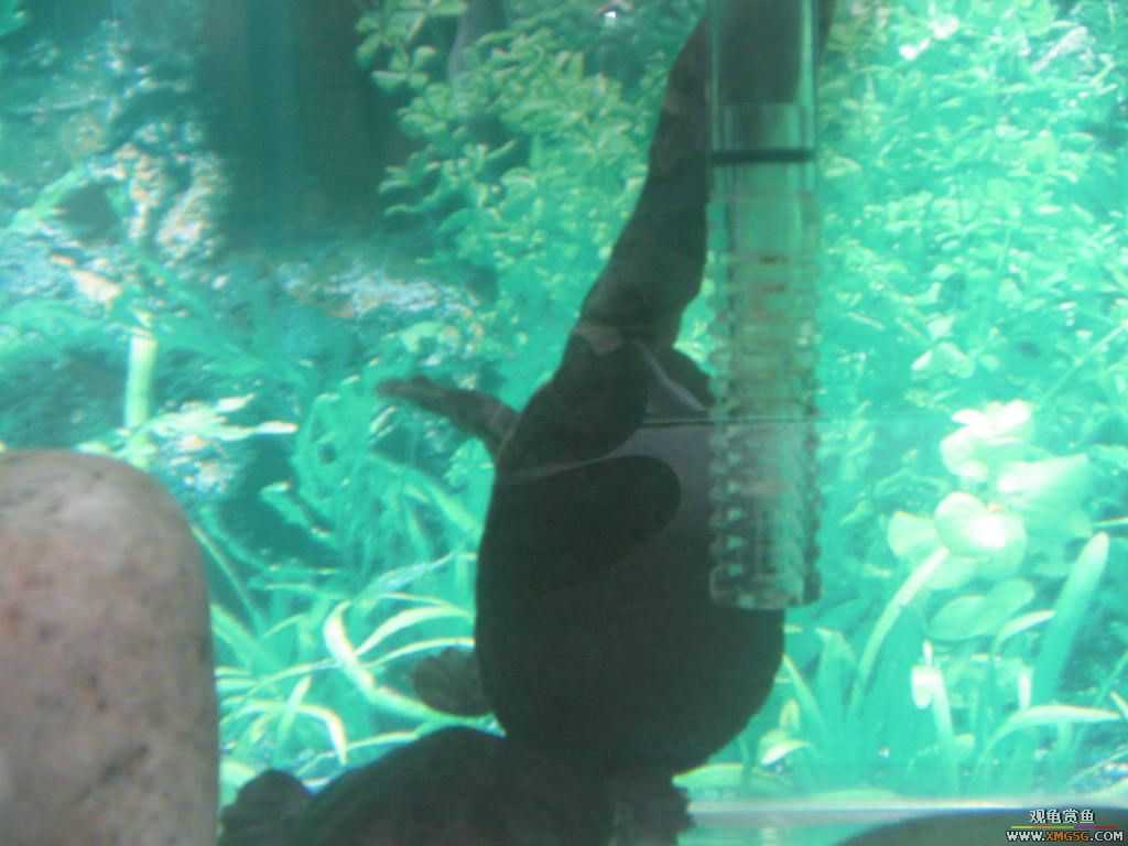 ������֮�� ����· �绰:13600976919С֣