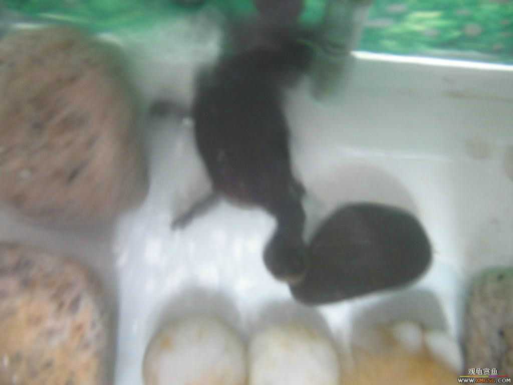 ������֮�� ����· �绰:13600976919С֣