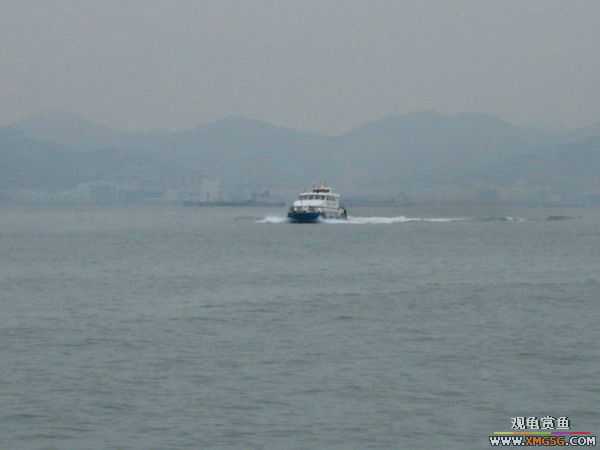 �ڴ����ĵģ���Ҵӵ�һ��ͷ���Ϳ��Կ����������������