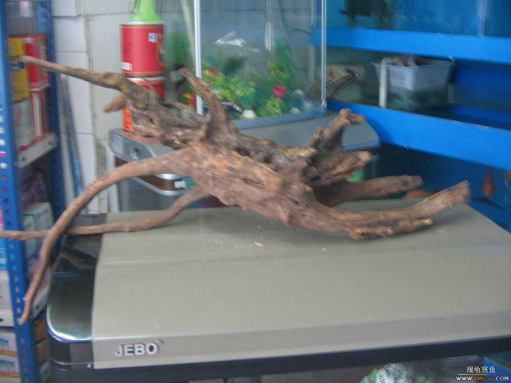 ������֮�� ����· �绰:13600976919С֣