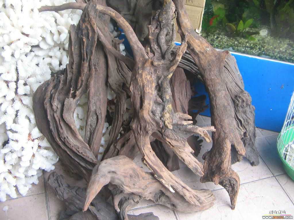 ������֮�� ����· �绰:13600976919С֣