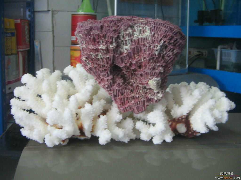 ������֮�� ����· �绰:13600976919С֣