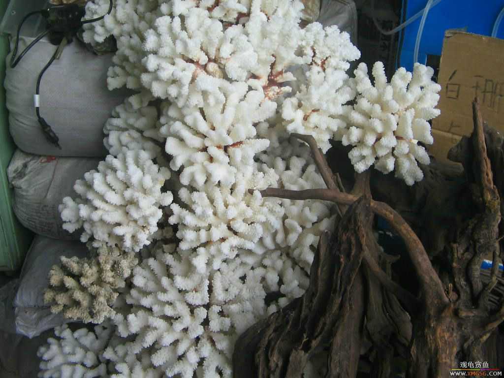 ������֮�� ����· �绰:13600976919С֣