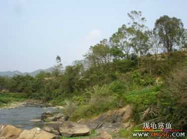 [����]���˽ڲ�����