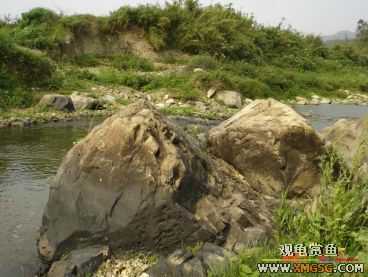 [����]���˽ڲ�����