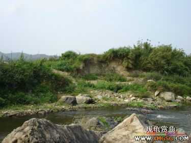 [����]���˽ڲ�����