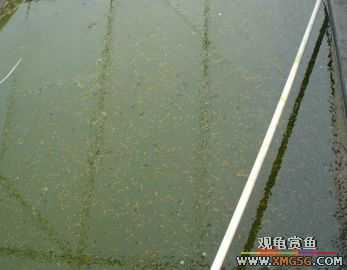 [����]���˽ڲ�����