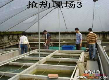 [����]���˽ڲ�����