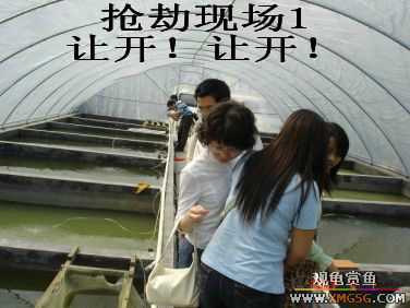 [����]���˽ڲ�����