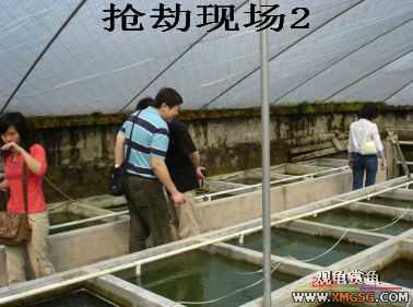 [����]���˽ڲ�����