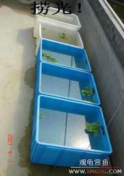 [����]���˽ڲ�����