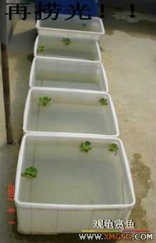 [����]���˽ڲ�����