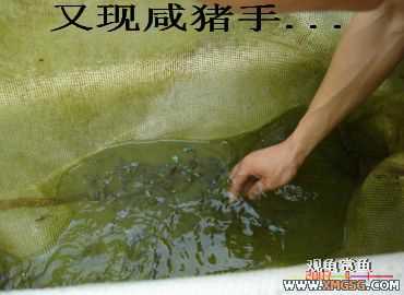 [����]���˽ڲ�����