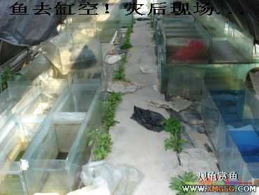 [����]���˽ڲ�����