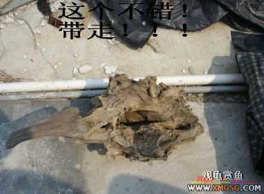 [����]���˽ڲ�����