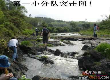 [����]���˽ڲ�����