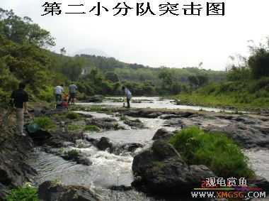 [����]���˽ڲ�����