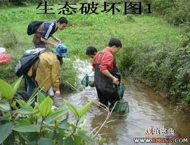 [����]���˽ڲ�����