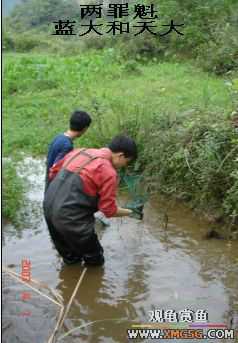 [����]���˽ڲ�����