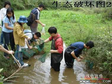 [����]���˽ڲ�����